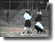 Animated at bat.gif