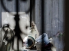 Birdie_in_Porch-0002