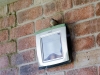 Birdie_in_Porch-0004