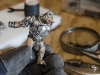 008a-ogre_pin-in-arm-copy