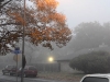 foggy_morning_red_tee_w