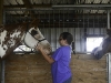 horseriding_july11-003