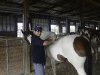 horseriding_july11-004