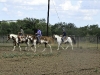 horseriding_july11-011