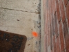 hl_3-24-09-010.jpg
