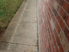 hl_3-24-09-011.jpg