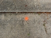 hl_3-24-09-012.jpg