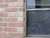 hl_3-24-09-016.jpg
