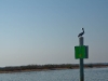 008-pelican_pole_original