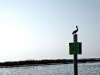 009-pelican_pole_bleachbypass