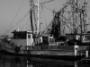 016-fishingboatdock_superbw