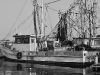 018-fishingboatdock_lightbw