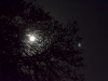 supermoonshoot-mar19-11-092