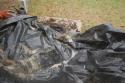 covered dirt