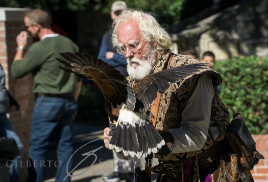 Master Falconer