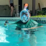 My underwater camera guy as well.